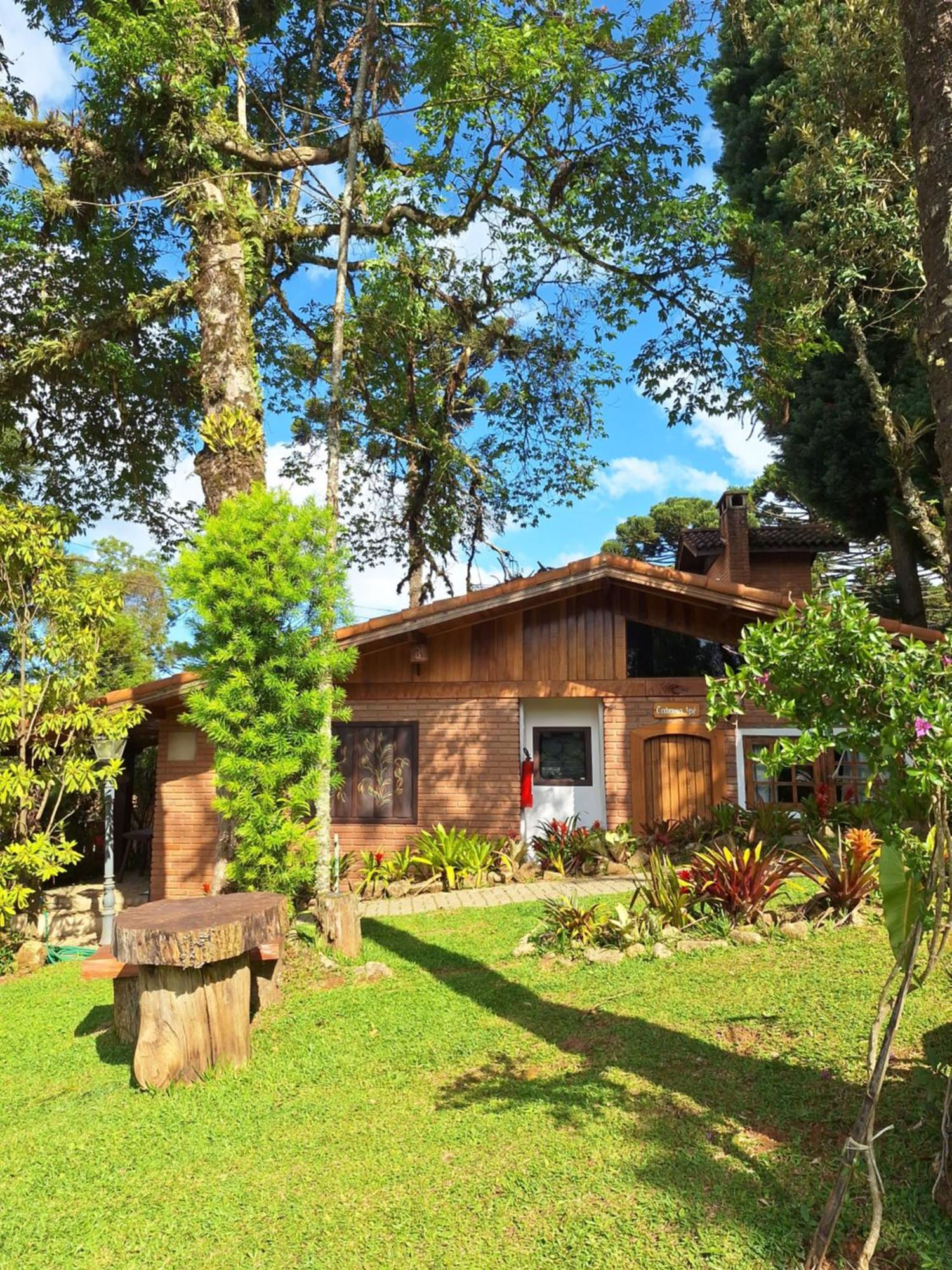 Anecuem * Monte Verde (Minas Gerais)